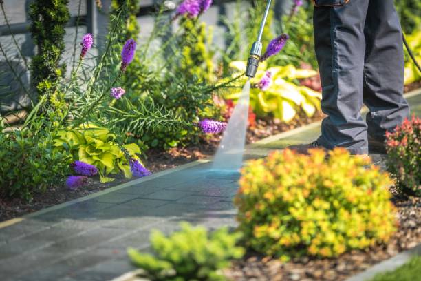 Best Gutter Cleaning  in Boley, OK